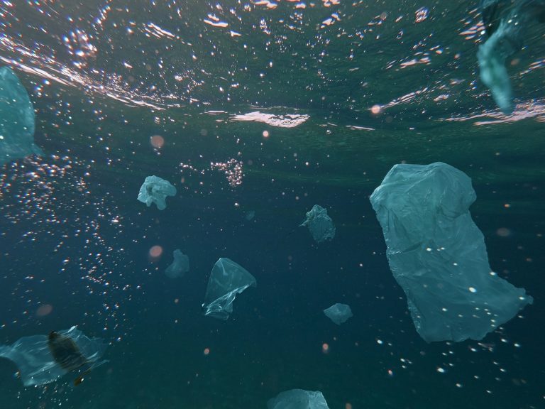 plastic pollution in the ocean