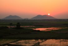 Beautiful sunset in the area of Nalgonda, India in Andhra Pradesh - reflecting in rice patties below.