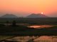 Beautiful sunset in the area of Nalgonda, India in Andhra Pradesh - reflecting in rice patties below.