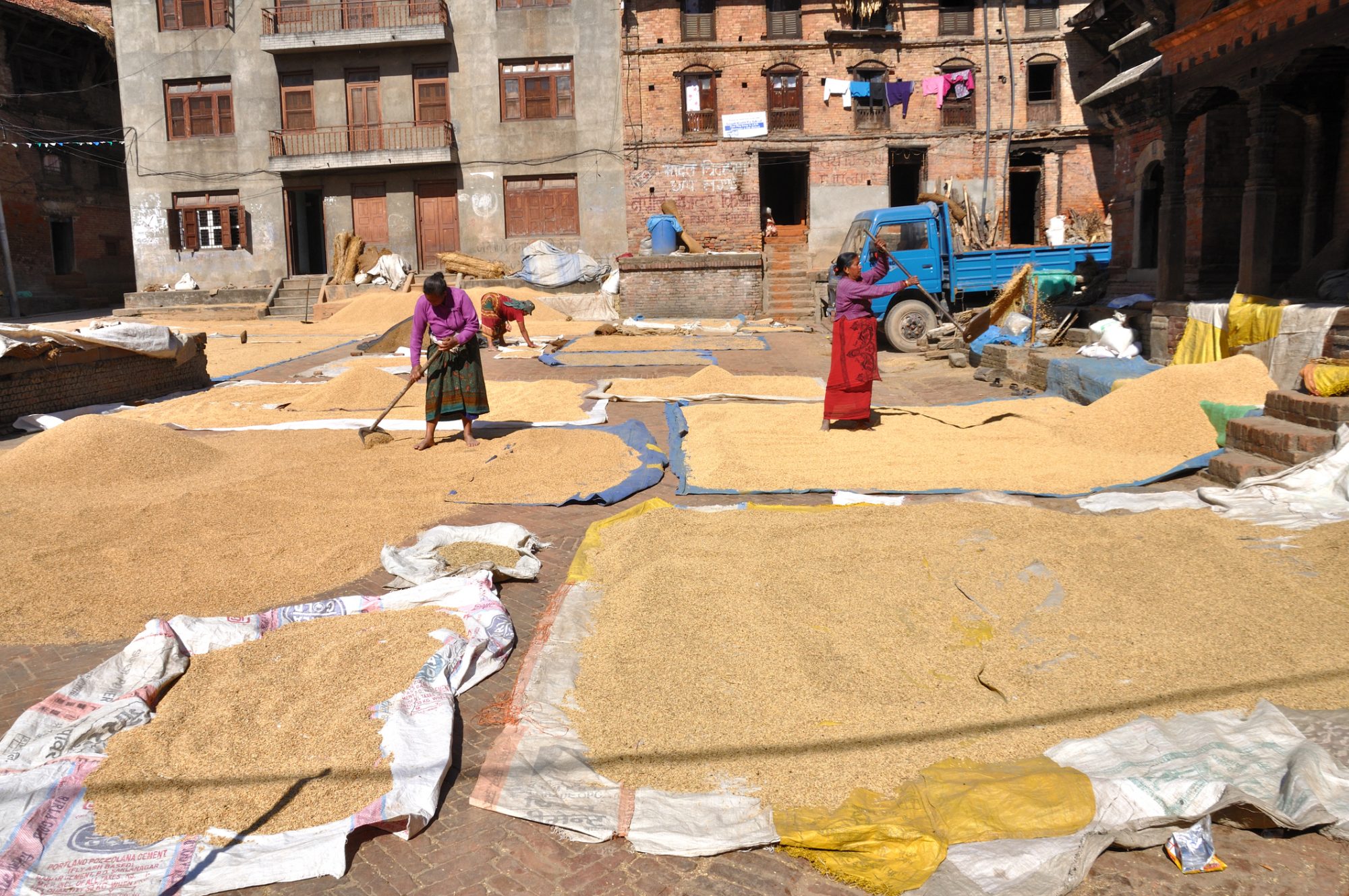 Woman drying rice in Bhaktapur.Bhaktapur is an ancient Newar town in the east corner of the Kathmandu Valley, Nepal.