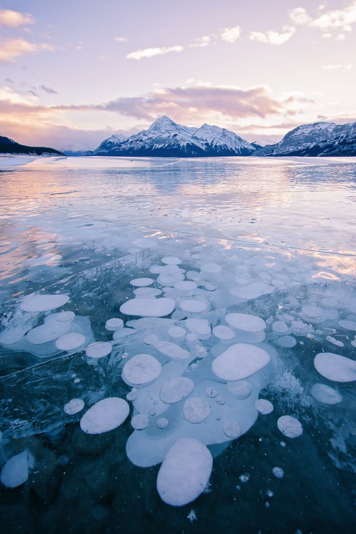 Methane Bubbles frozen in Abraham Lake in Clearwater County, near Nordegg, Alberta, Canada. Elliot Peak lit by the sunset in the background. Canadian Winter scene