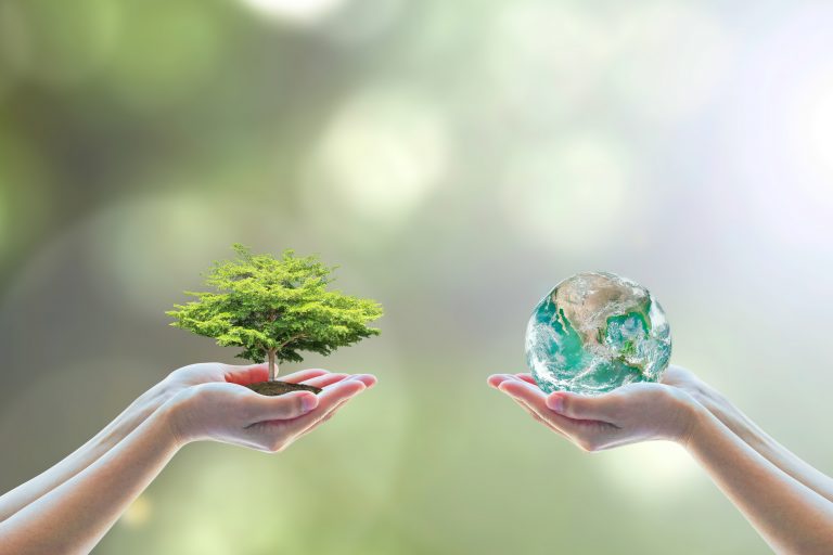 Two hands holding small tree and earth