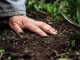 farmer with their hand on soil, soil health