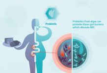 treatment for inflammatory bowel disease