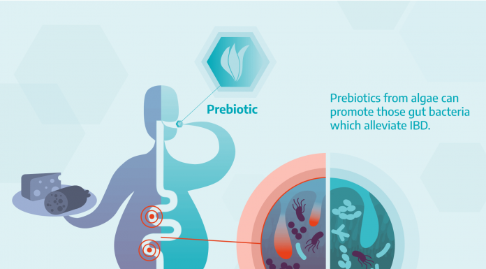 treatment for inflammatory bowel disease