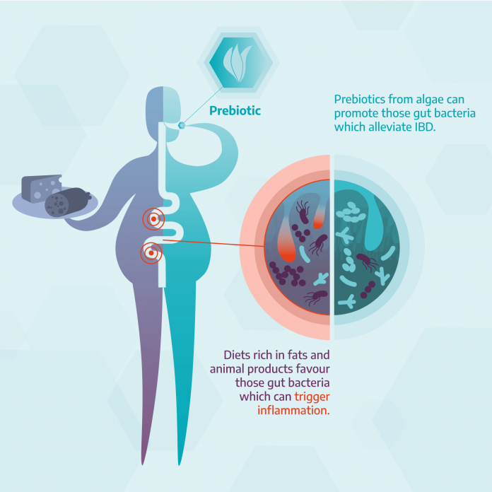 treatment for inflammatory bowel disease