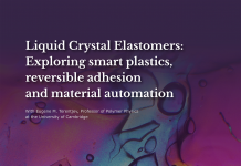 Liquid Crystal Elastomers