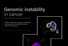 Genomic instability in cancer
