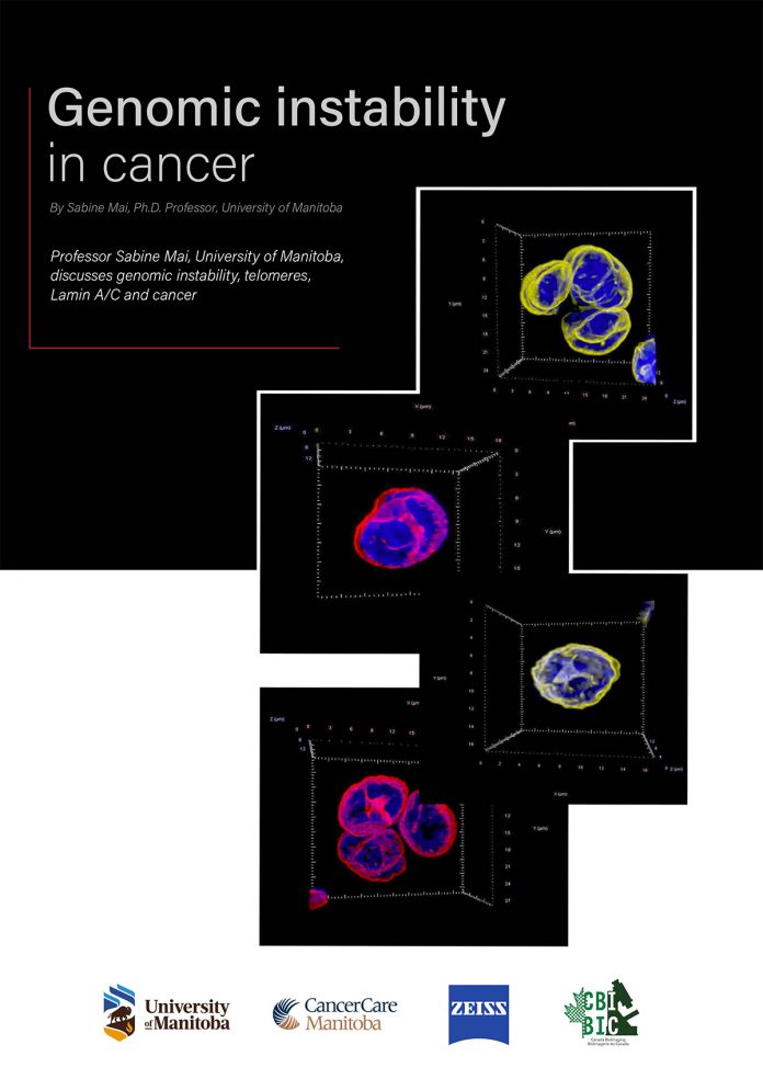 Genomic instability in cancer