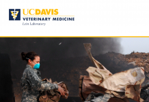 Military burn pits
