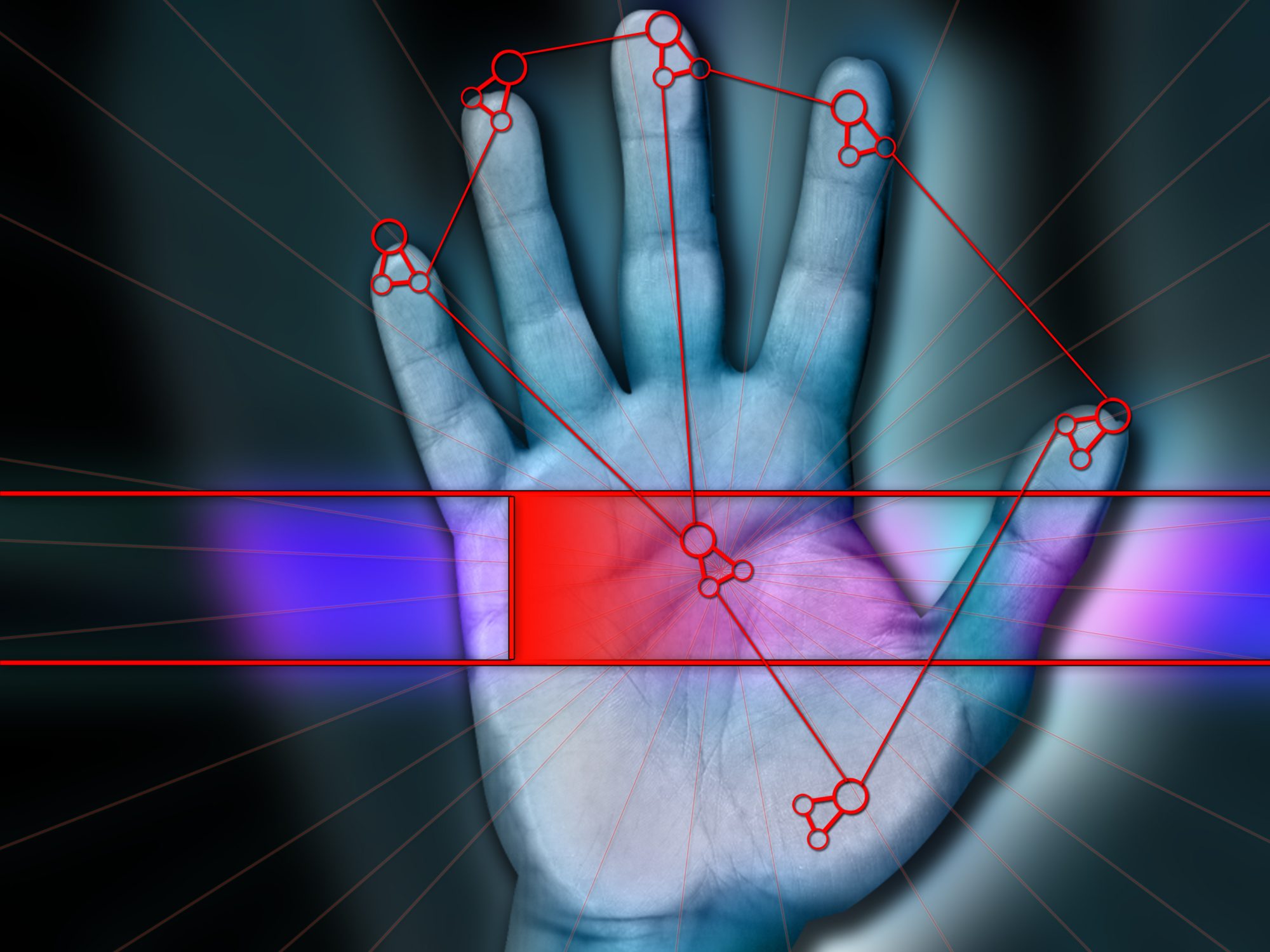 Biometric high security palm scanning for security network access