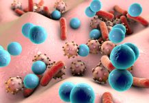 Bacteria and viruses illustration