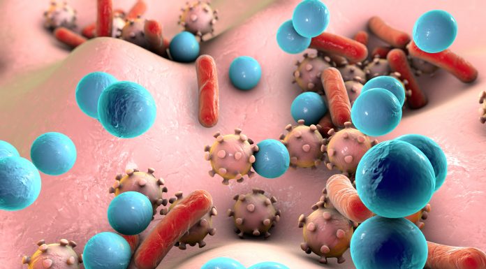 Bacteria and viruses illustration