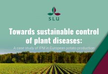 Towards sustainable control of plant diseases