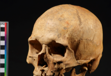 Ancient skull photographed against black background