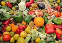 Rotten fruit and vegetable waste in a dumpster