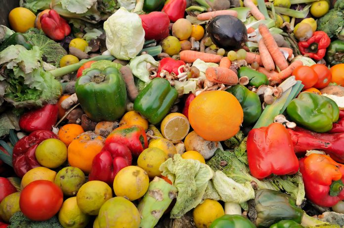 Rotten fruit and vegetable waste in a dumpster