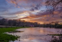 conserving water