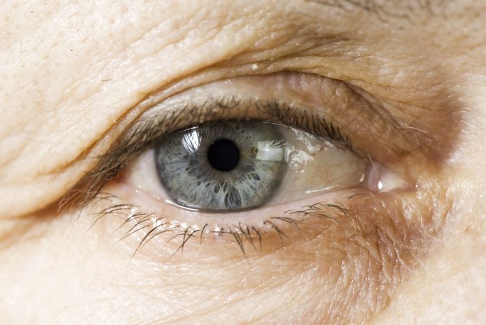 Close up old woman blue eye