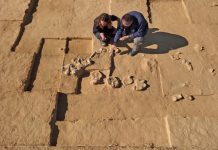 Archaeologists crouched over on sand dunes by the excavation of eight 4,000 year old ostrich eggs