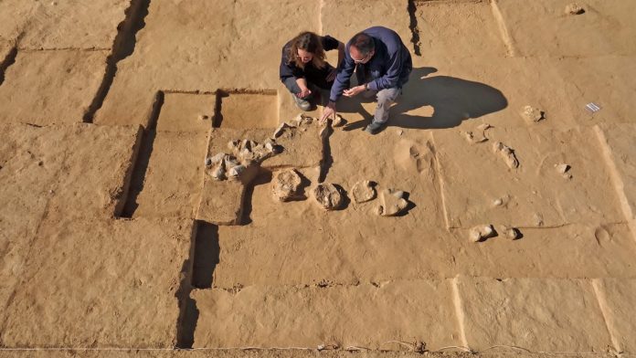 Archaeologists crouched over on sand dunes by the excavation of eight 4,000 year old ostrich eggs