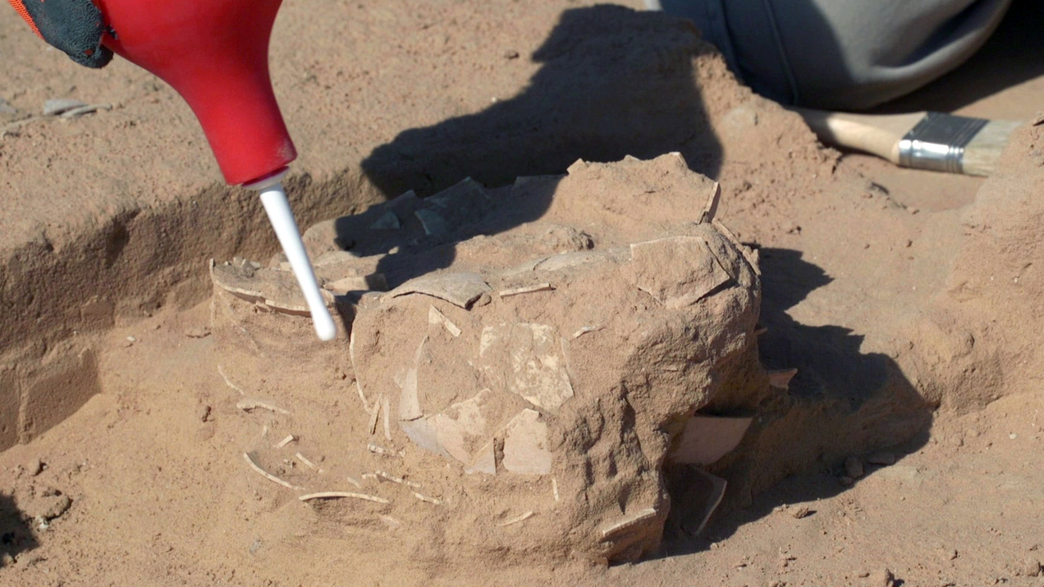 Close-up of the excavation of eight 4,000 year old ostrich eggs 