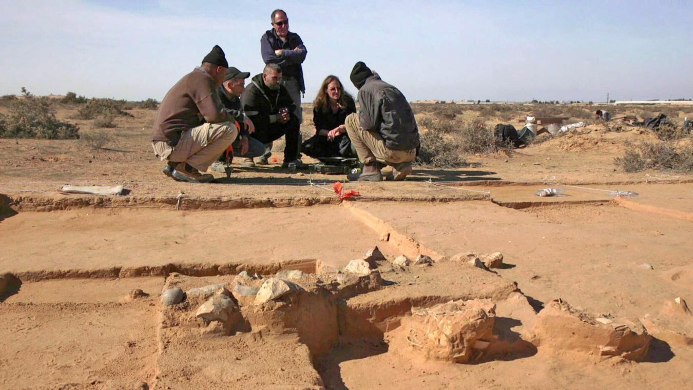 Archaeologists crouched on the sands dune by the excavation site of eight 4,000 year old ostrich eggs