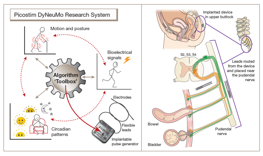 Amber_therapeutics_IMAGE