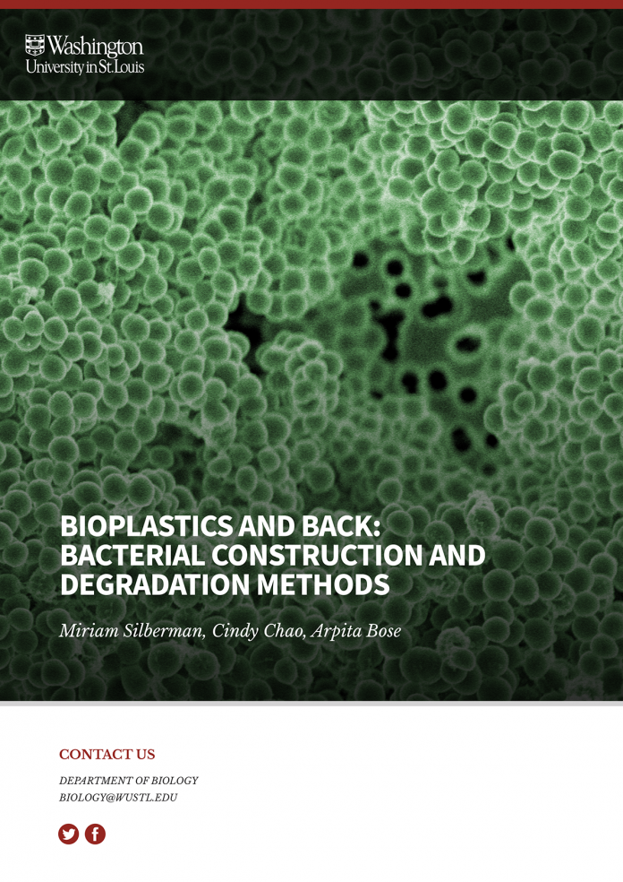 Bioplastics and back: Bacterial construction and degradation methods