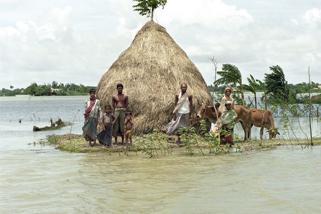 Bangladesh, village Charburhan on the island of Charkajal, Bay, Gulf of Bengal: No country in the world is so vulnerable to climate change, flood plains, flooded fields than Bangladesh. These people have problems of flooding and sometimes they have to wait weeks on this mound, islet, waiting with their cattle that the water will drop. Because of global warming the country is becoming more and more flooded by the waters of the rivers, the ascent of the sea level, and the heavy rainfall during the monsoon. It are the poorest people who are most affected by these natural disasters.