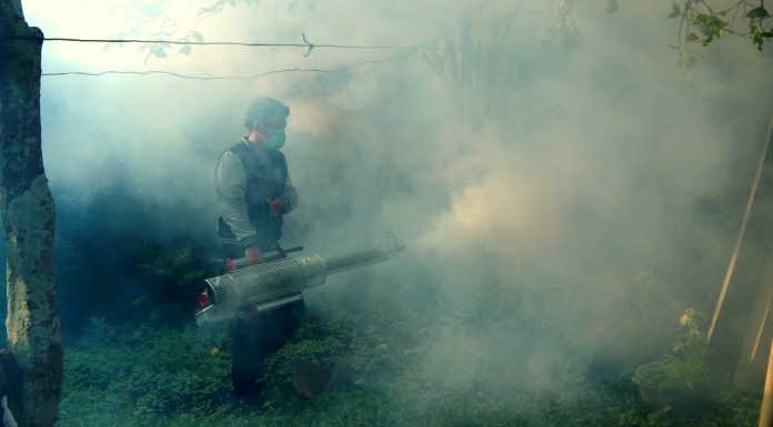 A man fogging at house yard to prevent spread of dengue fever which caused by mosquito.
