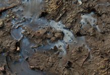 Mud texture or wet brown soil as natural organic clay and geological sediment mixture as in roughing it in a dirty muddy country road bog after the rain or rainy season found in a damp moist climate.