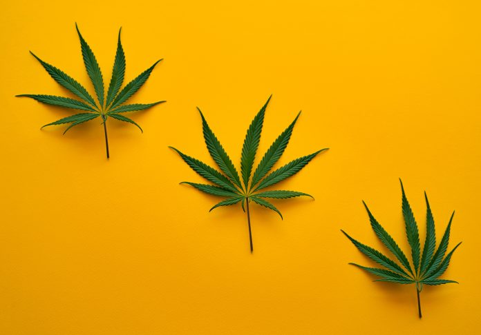 How readability and requirements may also help the CBD Business to thrive