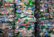 At the recycling center, plastic bottles are collected and packed for recycling