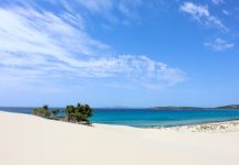 Iconic sandy beach and coastal dune system in Porto Pino (Italy)