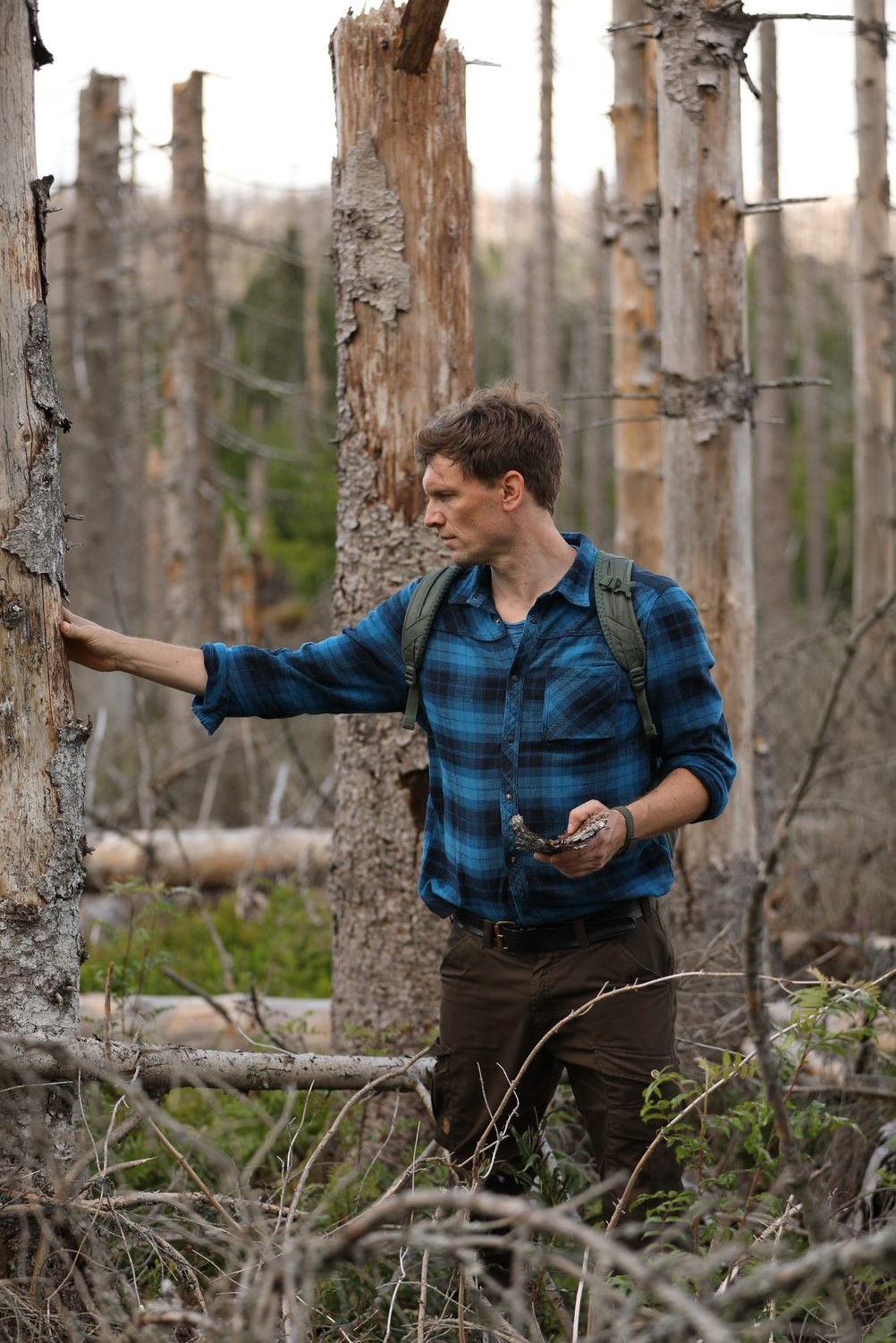 “Assessing damage caused by drought in a central German Forest” by Florian Knutzen