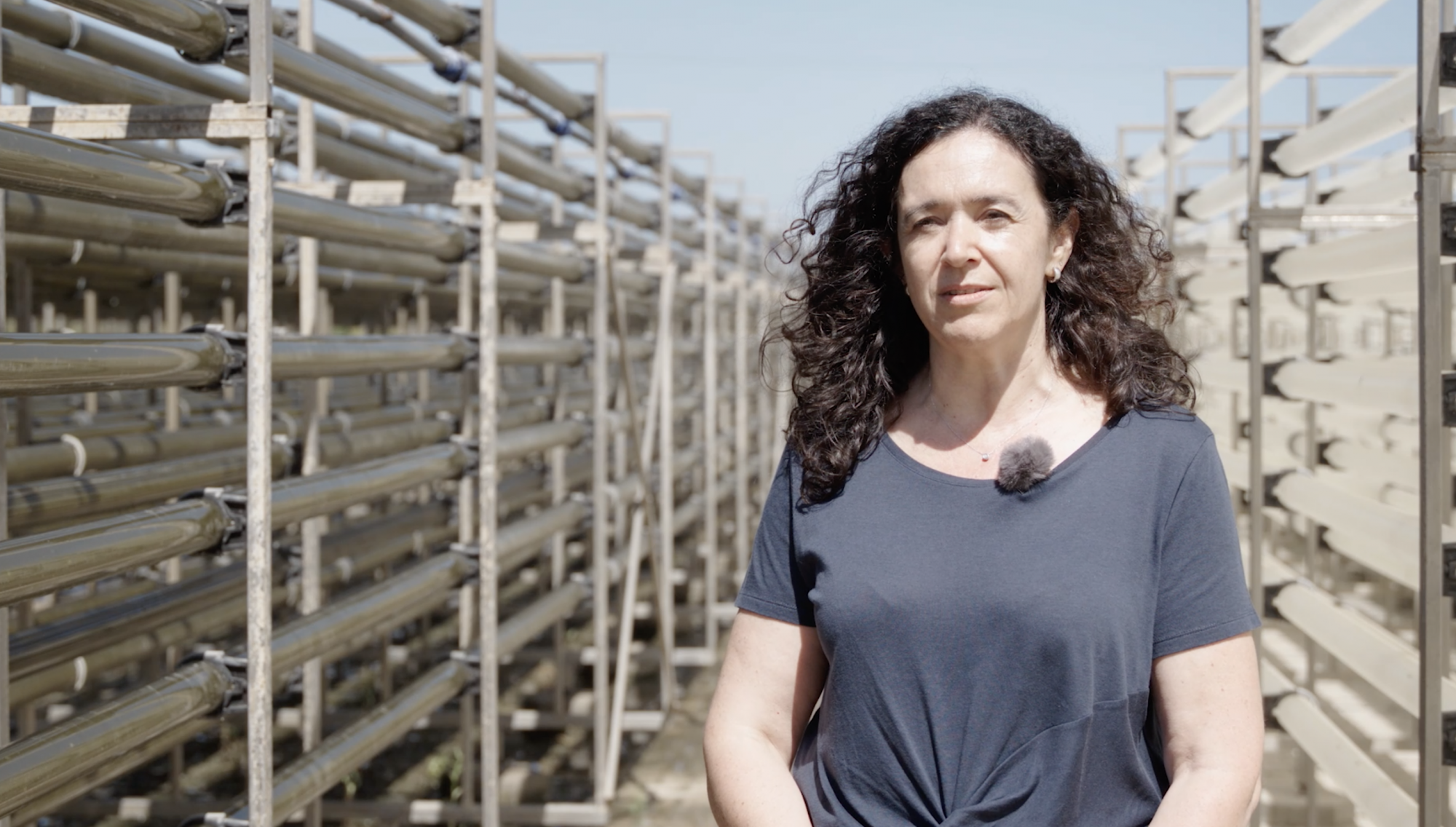 Prof. Luísa Barreira in front of a tubular photo-bioreactor. It circulates 19 000 litres of a nutritional fluid in which microalgae are grown