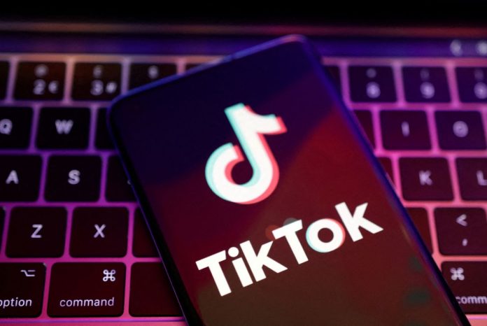 TikTok app on phone