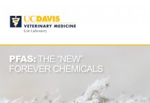 PFAS: The "New" Forever Chemicals