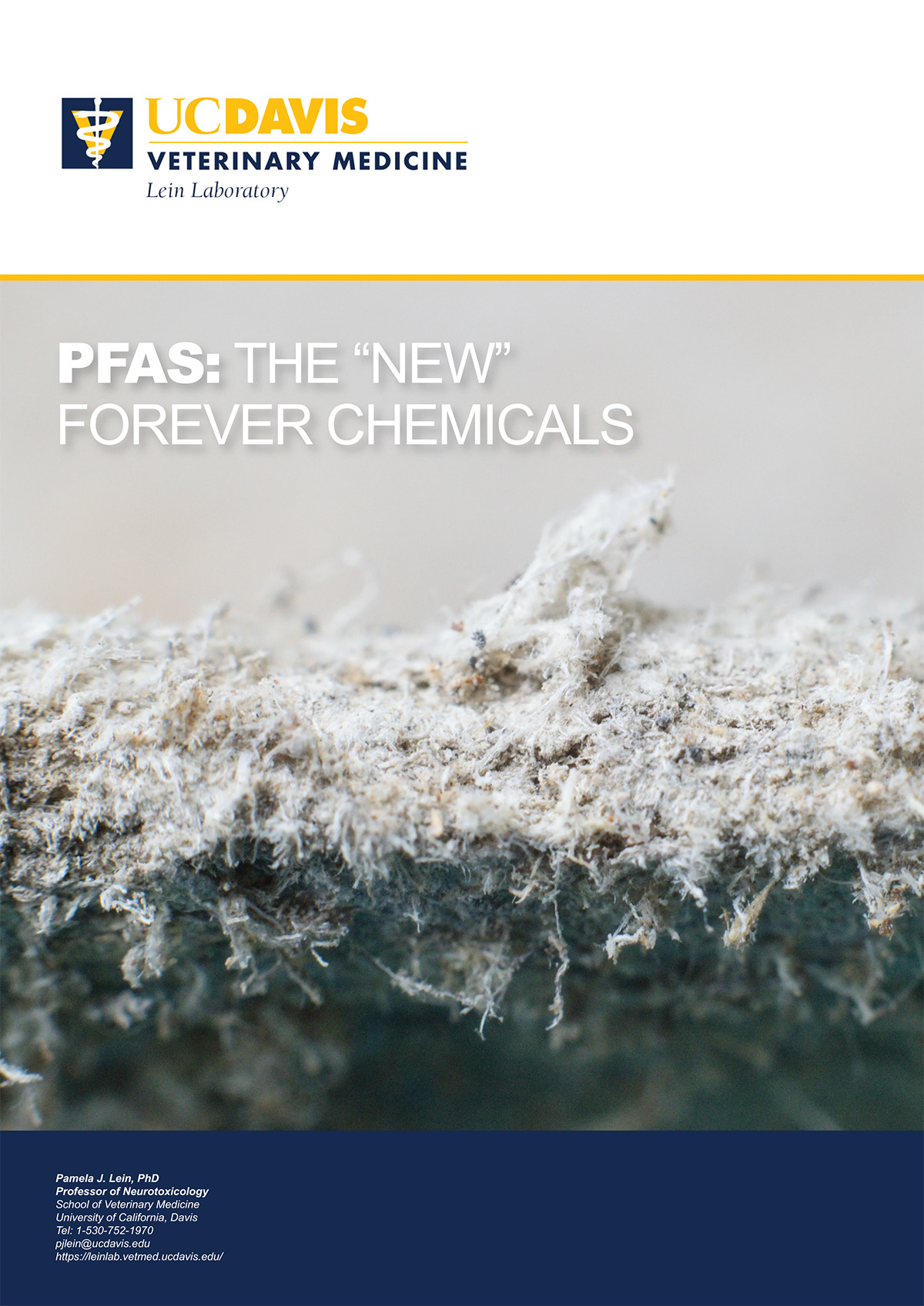PFAS: The "New" Forever Chemicals