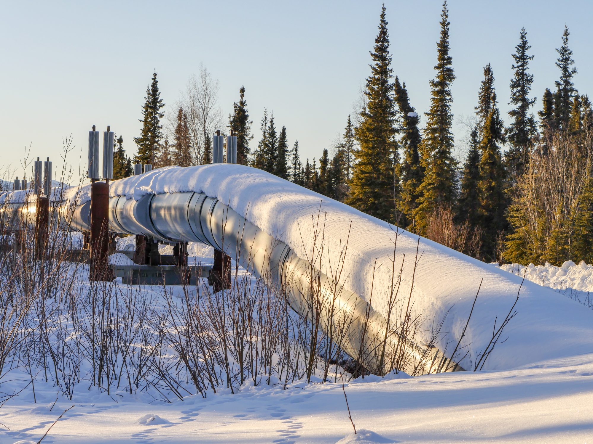 Trans-Alaska Pipeline System in Winter