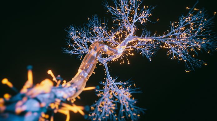 Neuron cell close-up view - 3d rendered image of Neuron cell on black background. SEM view interconnected neurons synapses. Abstract structure conceptual medical image. Synapse. Healthcare concept, representing Alzheimer's Disease therapeutics