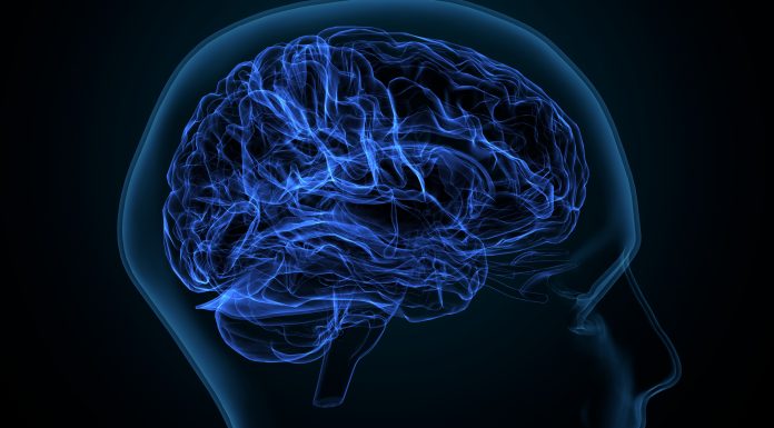 White matter refers to areas of the central nervous system that are mainly made up of myelinated axons, also called tracts.Long thought to be passive tissue, white matter affects learning and brain functions, modulating the distribution of action potentials, acting as a relay and coordinating communication between different brain regions