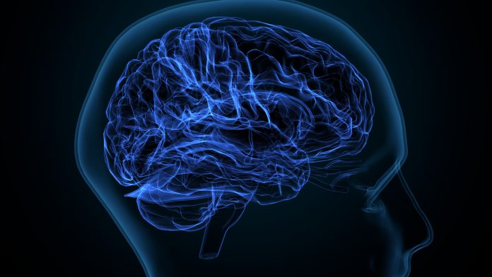 White matter refers to areas of the central nervous system that are mainly made up of myelinated axons, also called tracts.Long thought to be passive tissue, white matter affects learning and brain functions, modulating the distribution of action potentials, acting as a relay and coordinating communication between different brain regions