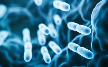 microbiology image of tuberculosis