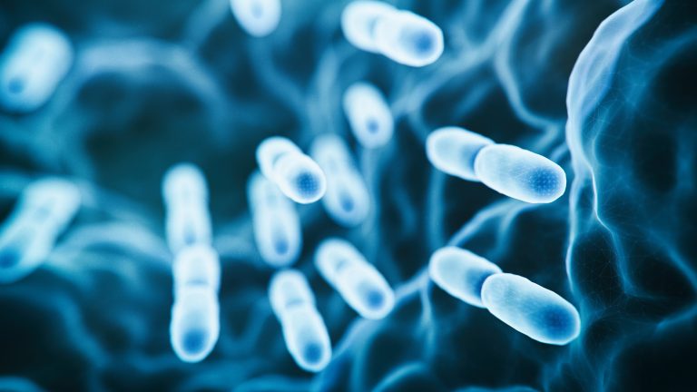 microbiology image of tuberculosis