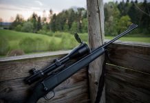 Modern hunting weapon with scope on a high seat at dusk in Germany