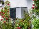 outdoor unit of a heat pump heating system surrounded by flowers