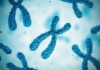 Chromosome. Concept. 3D Render, RNA molecule signature diagnosis could revolutionize personalized medicine