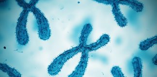 Chromosome. Concept. 3D Render, RNA molecule signature diagnosis could revolutionize personalized medicine